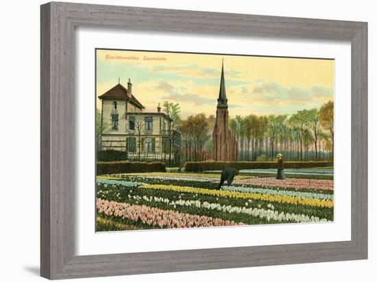 Hyacinth Fields, Sassenheim, Holland-null-Framed Art Print