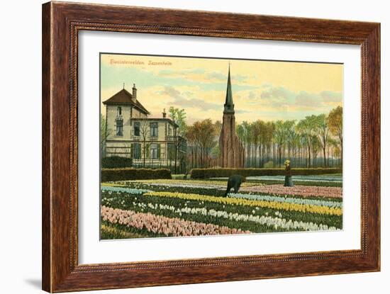 Hyacinth Fields, Sassenheim, Holland-null-Framed Art Print