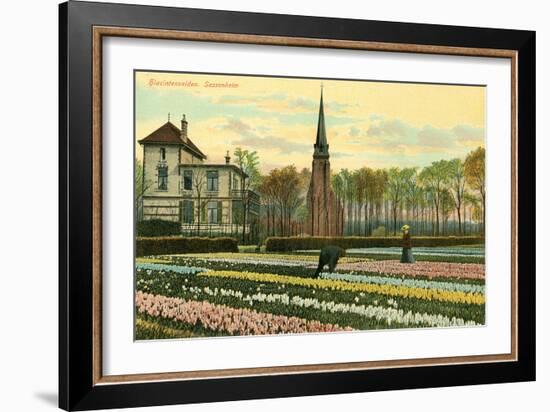 Hyacinth Fields, Sassenheim, Holland-null-Framed Art Print