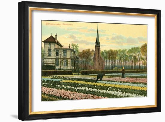 Hyacinth Fields, Sassenheim, Holland-null-Framed Art Print