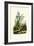 Hyacinth Flower, 1833-39-null-Framed Giclee Print