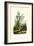 Hyacinth Flower, 1833-39-null-Framed Giclee Print