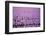 Hyacinth Flower Fields in Famous Lisse, Holland-Anna Miller-Framed Photographic Print