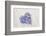 Hyacinth flowers in heart shape, close up, still life-Andrea Haase-Framed Photographic Print