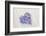 Hyacinth flowers in heart shape, close up, still life-Andrea Haase-Framed Photographic Print