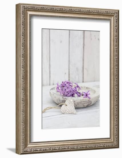 Hyacinth flowers in stone bowl, close up, still life-Andrea Haase-Framed Photographic Print