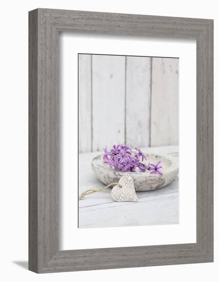 Hyacinth flowers in stone bowl, close up, still life-Andrea Haase-Framed Photographic Print