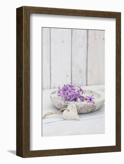 Hyacinth flowers in stone bowl, close up, still life-Andrea Haase-Framed Photographic Print