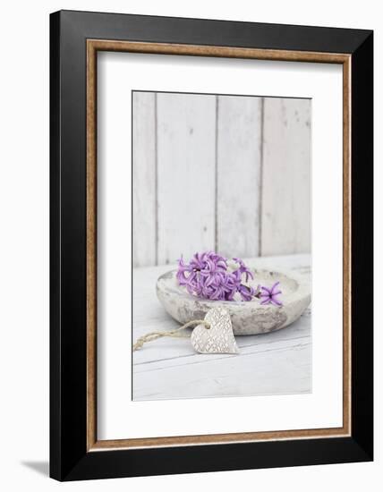 Hyacinth flowers in stone bowl, close up, still life-Andrea Haase-Framed Photographic Print