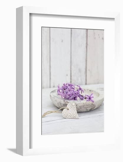 Hyacinth flowers in stone bowl, close up, still life-Andrea Haase-Framed Photographic Print