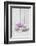 Hyacinth flowers in stone bowl, close up, still life-Andrea Haase-Framed Photographic Print