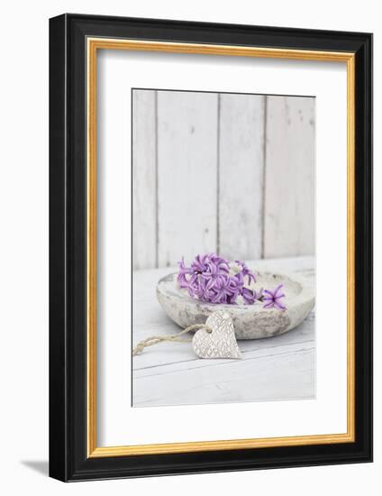 Hyacinth flowers in stone bowl, close up, still life-Andrea Haase-Framed Photographic Print