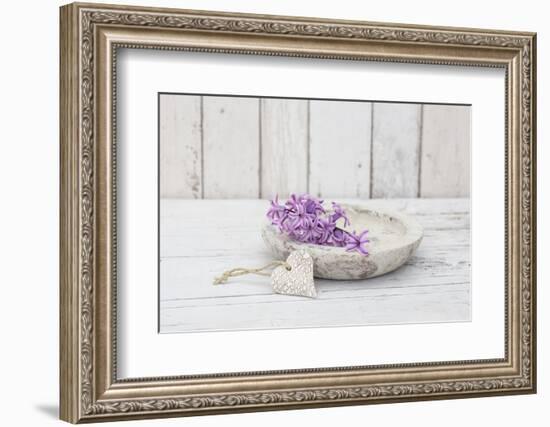 Hyacinth flowers in stone bowl, close up, still life-Andrea Haase-Framed Photographic Print