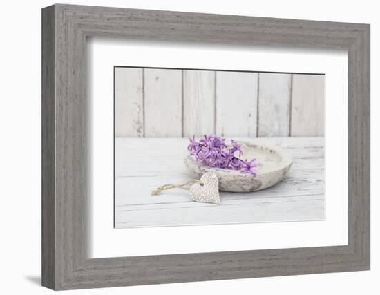 Hyacinth flowers in stone bowl, close up, still life-Andrea Haase-Framed Photographic Print