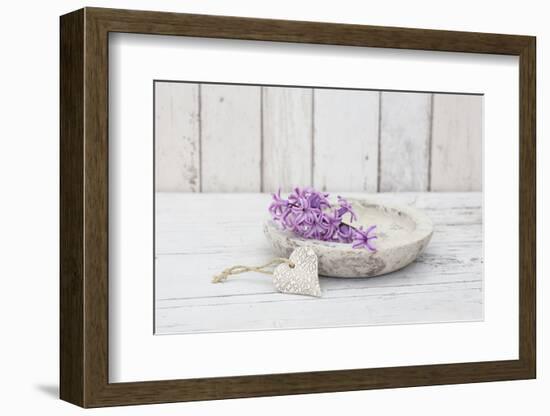 Hyacinth flowers in stone bowl, close up, still life-Andrea Haase-Framed Photographic Print