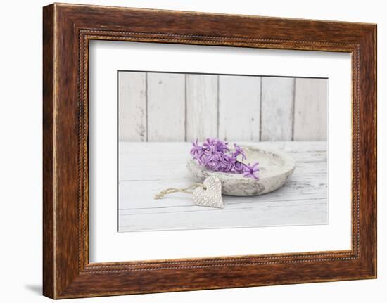 Hyacinth flowers in stone bowl, close up, still life-Andrea Haase-Framed Photographic Print