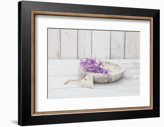 Hyacinth flowers in stone bowl, close up, still life-Andrea Haase-Framed Photographic Print