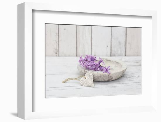 Hyacinth flowers in stone bowl, close up, still life-Andrea Haase-Framed Photographic Print