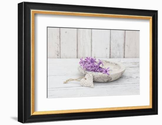 Hyacinth flowers in stone bowl, close up, still life-Andrea Haase-Framed Photographic Print