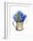 Hyacinth in Pitcher, 2014-John Keeling-Framed Giclee Print