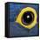 Hyacinth Macaw, 1 Year Old, Close Up On Eye-Life on White-Framed Premier Image Canvas