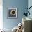 Hyacinth Macaw, 1 Year Old, Close Up On Eye-Life on White-Framed Photographic Print displayed on a wall