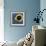 Hyacinth Macaw, 1 Year Old, Close Up On Eye-Life on White-Framed Photographic Print displayed on a wall