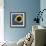 Hyacinth Macaw, 1 Year Old, Close Up On Eye-Life on White-Framed Photographic Print displayed on a wall