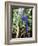 Hyacinth Macaw, 1992-Sandra Lawrence-Framed Giclee Print