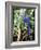 Hyacinth Macaw, 1992-Sandra Lawrence-Framed Giclee Print