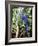 Hyacinth Macaw, 1992-Sandra Lawrence-Framed Giclee Print