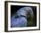 Hyacinth Macaw, Head Profile-Eric Baccega-Framed Photographic Print