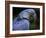 Hyacinth Macaw, Head Profile-Eric Baccega-Framed Photographic Print