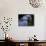Hyacinth Macaw, Head Profile-Eric Baccega-Photographic Print displayed on a wall