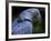 Hyacinth Macaw, Head Profile-Eric Baccega-Framed Photographic Print