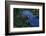 Hyacinth Macaw-DLILLC-Framed Photographic Print