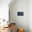 Hyacinth Macaw-DLILLC-Photographic Print displayed on a wall