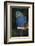 Hyacinth Macaw-Lynn M^ Stone-Framed Photographic Print