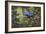 Hyacinth Macaw-Michael Jackson-Framed Giclee Print