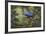 Hyacinth Macaw-Michael Jackson-Framed Giclee Print