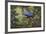 Hyacinth Macaw-Michael Jackson-Framed Giclee Print