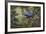 Hyacinth Macaw-Michael Jackson-Framed Giclee Print