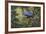 Hyacinth Macaw-Michael Jackson-Framed Giclee Print