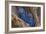 Hyacinth Macaws in a Tree-Howard Ruby-Framed Photographic Print