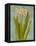 Hyacinth on Teal II-Lanie Loreth-Framed Stretched Canvas