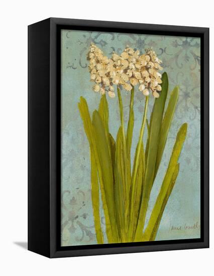 Hyacinth on Teal II-Lanie Loreth-Framed Stretched Canvas