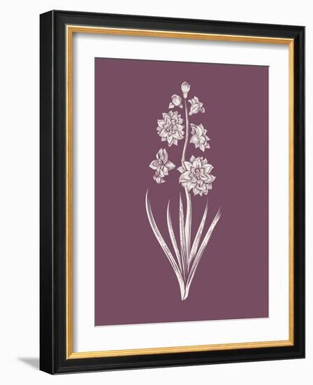 Hyacinth Purple Flower-Jasmine Woods-Framed Art Print