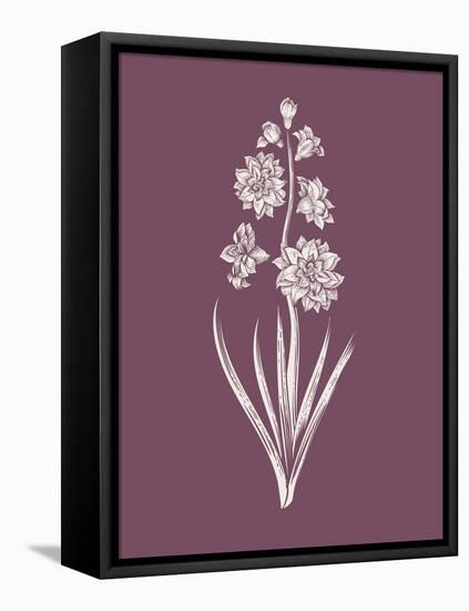 Hyacinth Purple Flower-Jasmine Woods-Framed Stretched Canvas