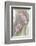 Hyacinth Study-Anna Miller-Framed Photographic Print