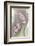 Hyacinth Study-Anna Miller-Framed Photographic Print